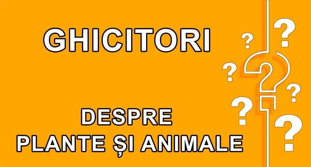 Ghicitori Despre Plante I Animale   Ghicitori Despre Plante Si Animale 1024x553 