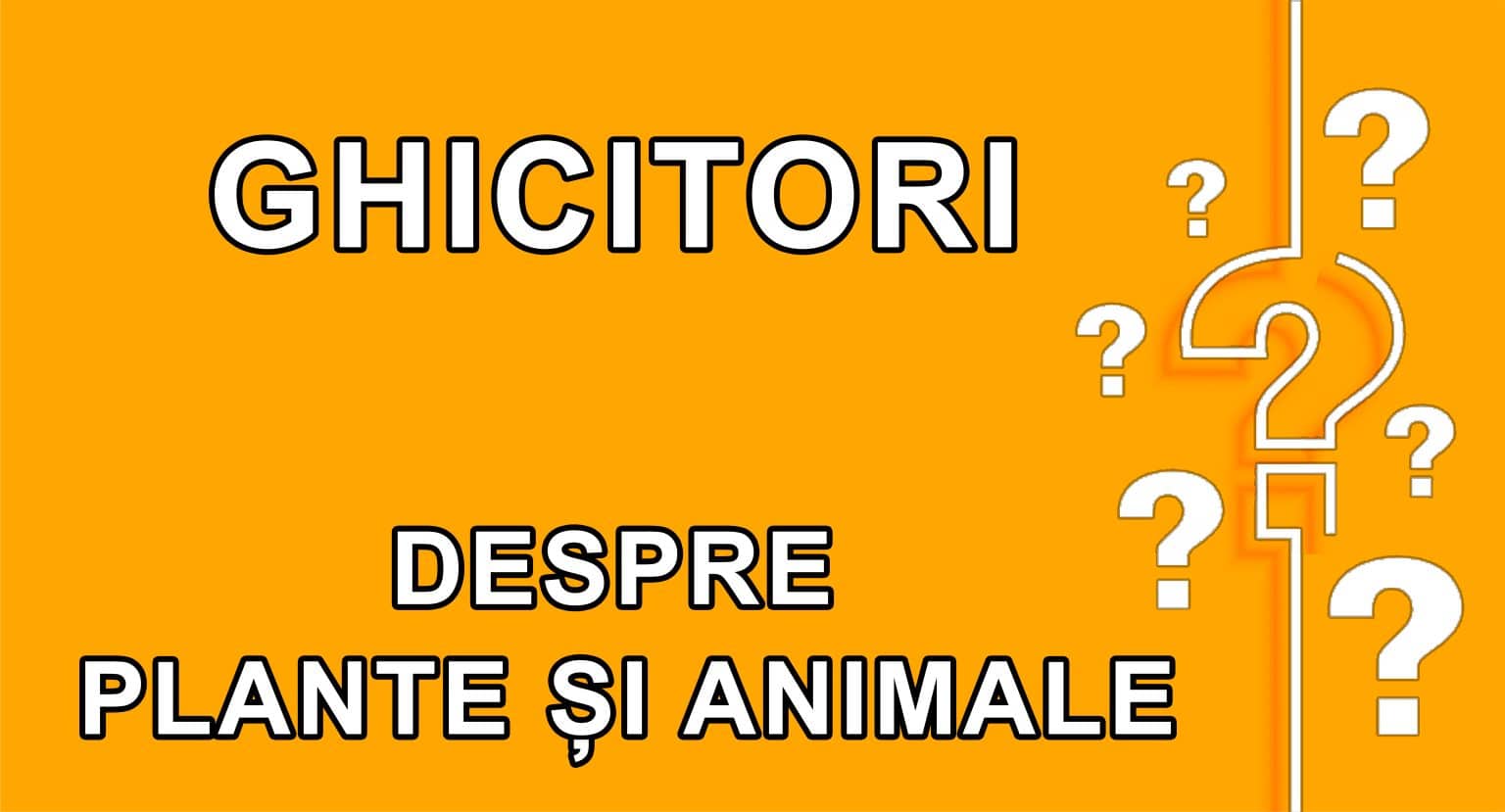 Ghicitori Despre Plante I Animale   Ghicitori Despre Plante Si Animale 1536x829 